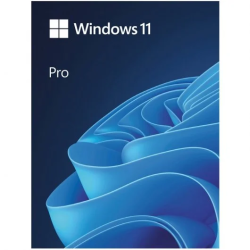 Windows 11 Professional - Licencia perpetua