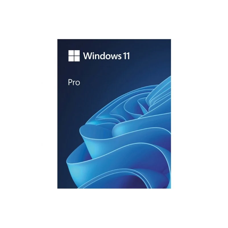 Windows 11 Professional - Licencia perpetua